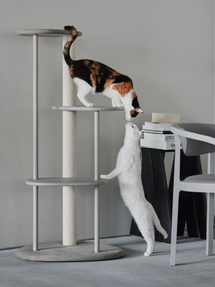 KARIMOKU CAT TREE 貓跳台 日本進口家具 實木家具 寵物家具