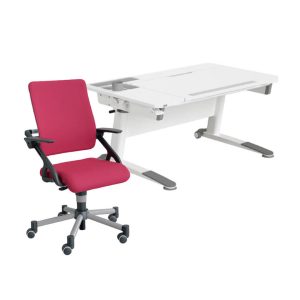 PAIDI 德國品牌 兒童家具 兒童成長桌椅-Jaro學習桌+Tio椅子-組合五