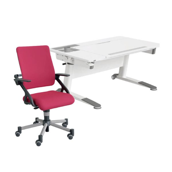 PAIDI 德國品牌 兒童家具 兒童成長桌椅-Jaro學習桌+Tio椅子-組合五