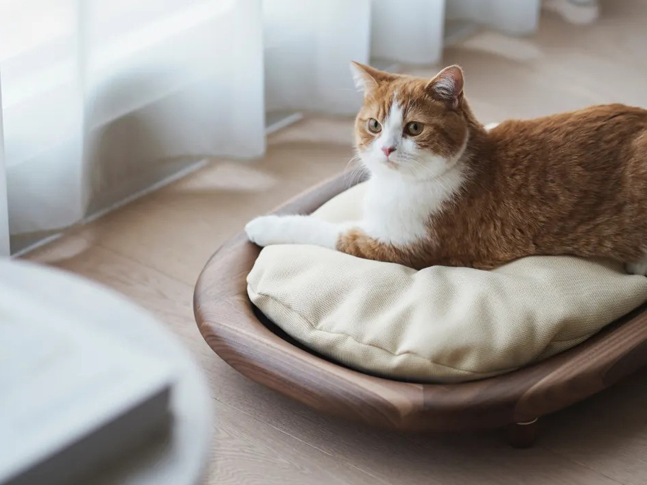 KARIMOKU CAT BED 實木貓床 日本進口家具 實木家具 寵物家具