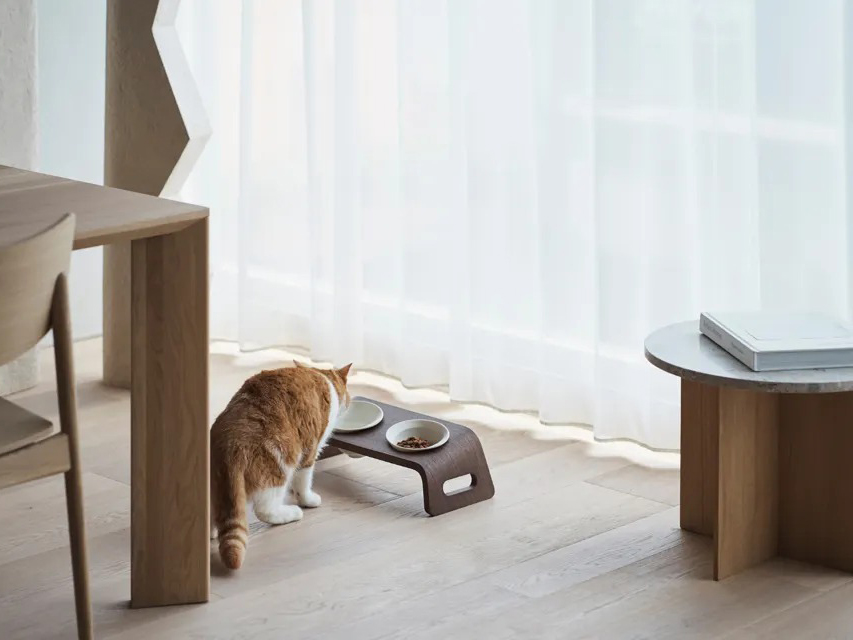 KARIMOKU CAT TABLE 實木貓碗架 日本進口家具 實木家具 寵物餐桌