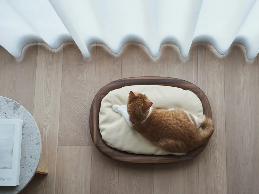 KARIMOKU CAT BED 實木貓床 日本進口家具 實木家具 寵物家具