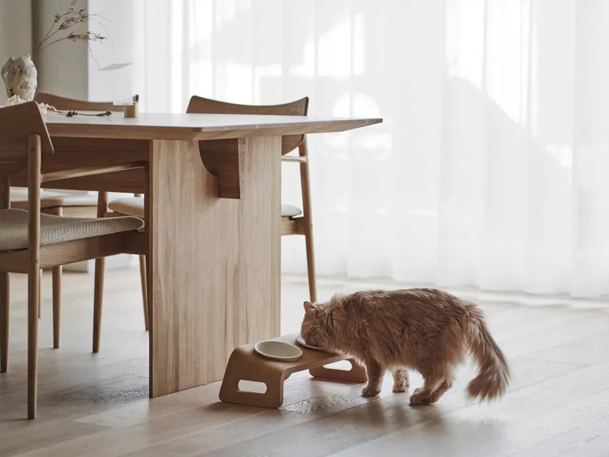 KARIMOKU CAT TABLE 實木貓碗架 日本進口家具 實木家具 寵物家具