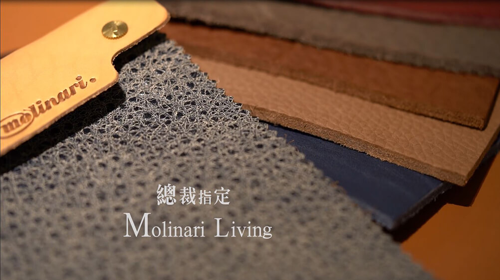 高級家具 義大利頂級沙發材質 MOLINARI