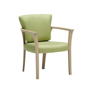 Dining chair-CU93