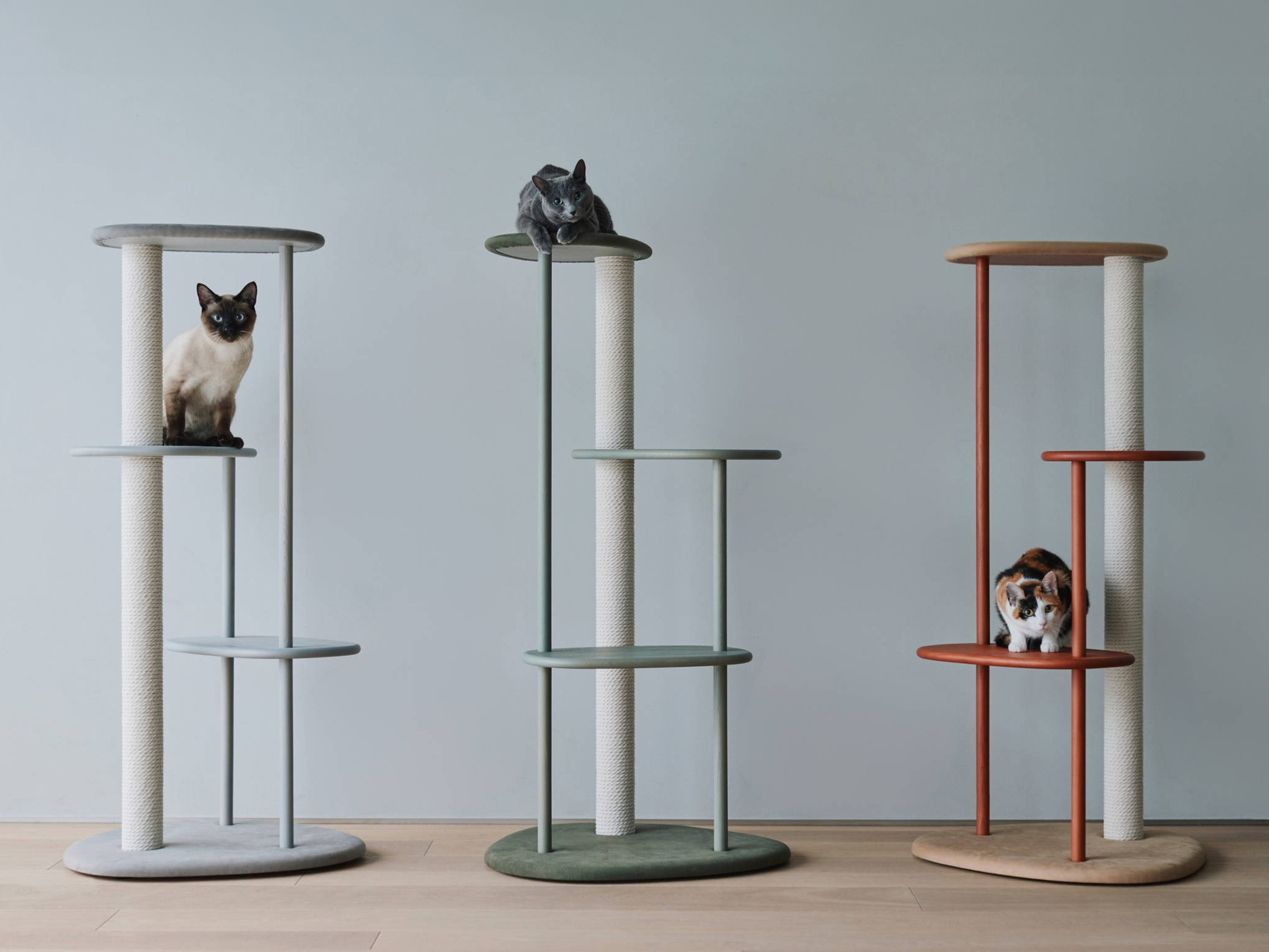 KARIMOKU CAT TREE 貓跳台 日本進口家具 實木家具 寵物家具