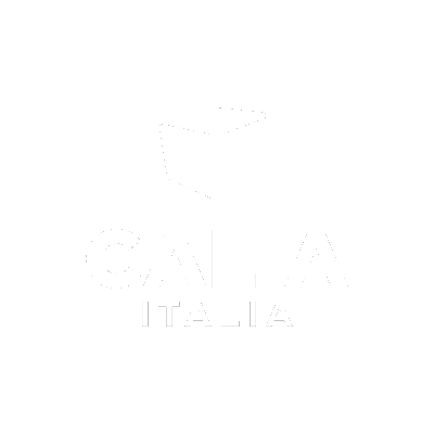 CALIA ITALIA 義大利品牌 進口沙發 logo