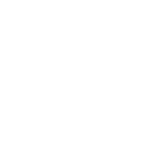 LENZI義大利家具LOGO