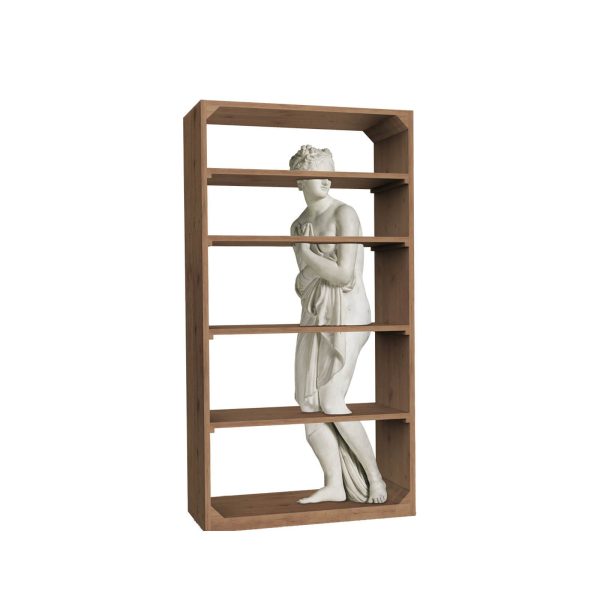 VENUS-bookcase-01