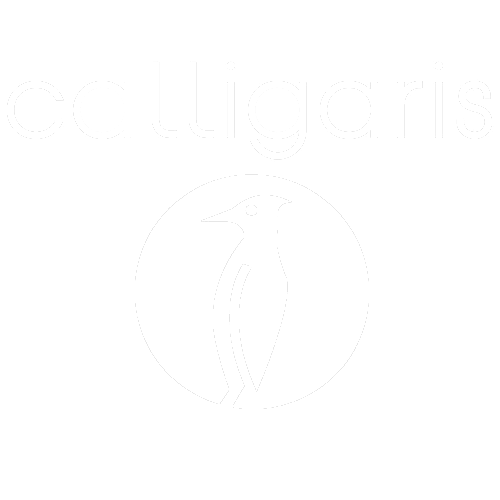 義大利進口 餐桌餐椅品牌 Calligaris LOGO