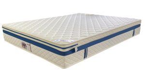 知識睡眠館 Power Sleep