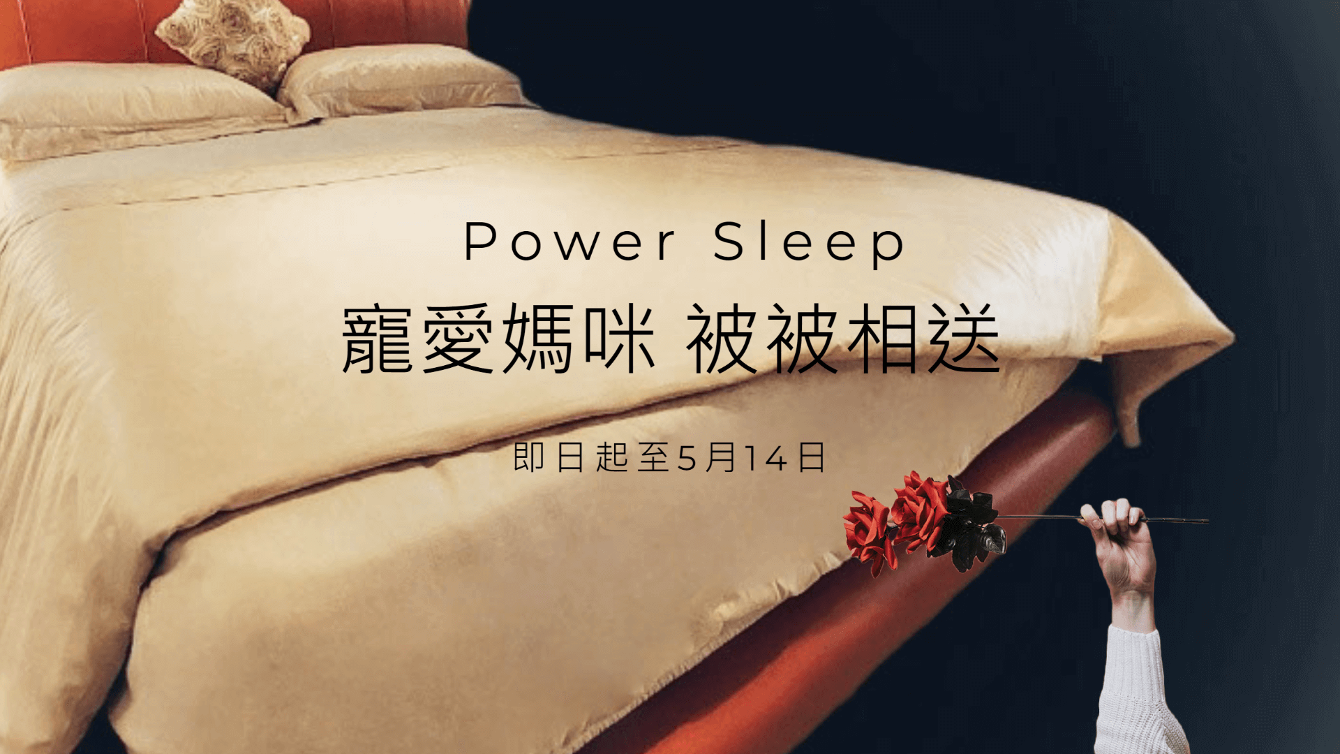 知識睡眠館