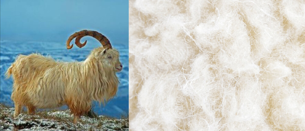 TRECA Paris國際頂級床墊材質 克什米爾山羊絨